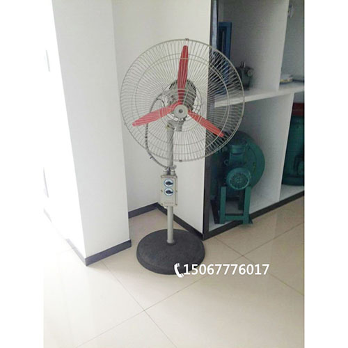 防爆电扇生产厂家 FB-600防爆电扇 落地