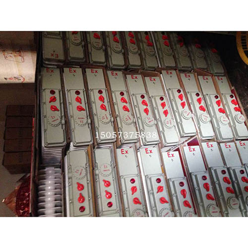 BDR51-9防爆电热油汀