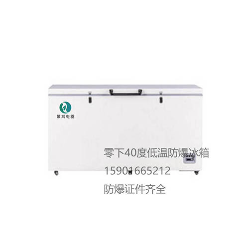 BL-DW485FW 卧式零下40度防爆冰柜冰箱